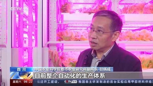 短剧净身出户后我成了全球首富大小姐短剧完整版 短剧净身出户后我成了全球首富大小姐--第1张