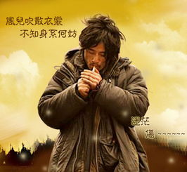 短剧他的金丝雀等个文件短剧完整版 短剧他的金丝雀等个文件短剧完整版--第1张