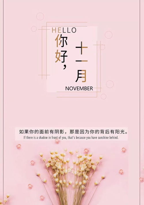 短剧时光静待花开短剧完整版 短剧时光静待花开短剧完整版--第1张