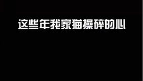 短剧下山乱红尘全集观看_下山混剪--第1张