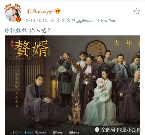 短剧麟婿全集观看_郭麒麟赘婿电视剧全集在线观看--第1张