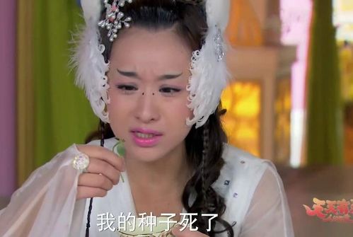 短剧皇后娘娘惹不起与君长相思穿越剧短剧完整版 短剧皇后娘娘惹不起与君长相思穿越剧短剧完整版--第1张