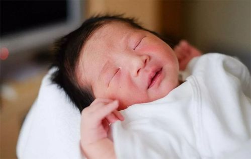 短剧丑妻逆袭颜值惊艳全球短剧完整版 短剧丑妻逆袭颜值惊艳全球短剧完整版--第1张