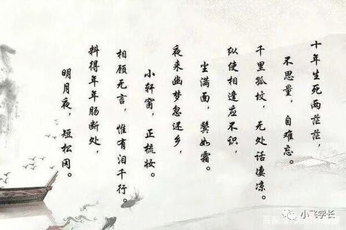 短剧纵使相逢应不识短剧完整版 短剧纵使相逢应不识--第1张