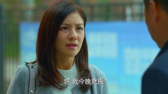 短剧离婚后高冷前妻夜夜数短剧完整版 短剧离婚后高冷前妻夜夜数短剧完整版--第1张