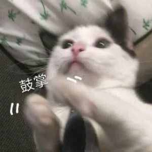 短剧我是真名媛短剧完整版 短剧我是真名媛完整版--第1张