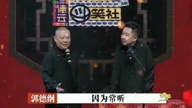 短剧再见陆先生短剧完整版 再见陆先生短剧完整版--第1张