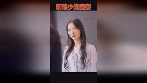 短剧重生前妻太难追短剧完整版 短剧重生前妻太难追短剧完整版--第1张