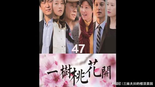 短剧闪婚后豪门老公马甲藏不住短剧完整版 闪婚豪门老公马甲藏不住短剧完整版--第1张