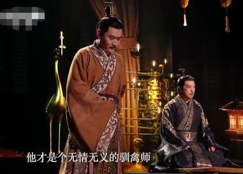 短剧暴君太子短剧完整版 短剧暴君太子，完整版--第1张