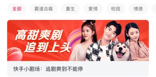 短剧离婚后我爆红了短剧完整版 离婚后我爆红了，短剧完整版--第1张