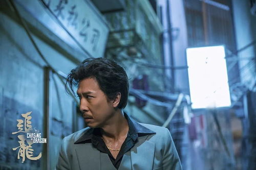 短剧追龙之罪与罚短剧完整版 短剧追龙之罪与罚短剧完整版--第1张