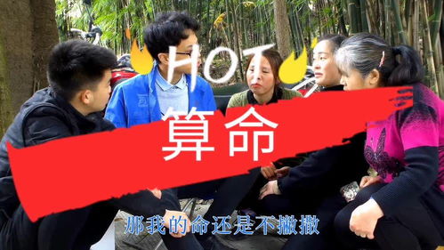 短剧天命神算短剧完整版 短剧天命神算短剧完整版--第1张