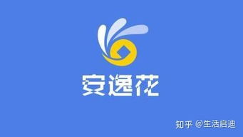 安逸花 安逸花——享受生活的秘密武器--第1张