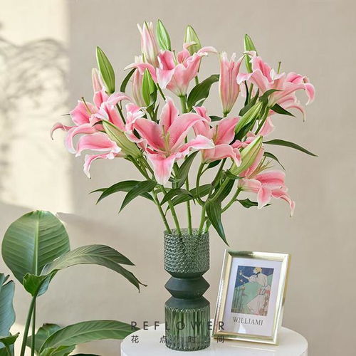 不同颜色百合花语和寓意 不同颜色百合花的花语和寓意--第1张