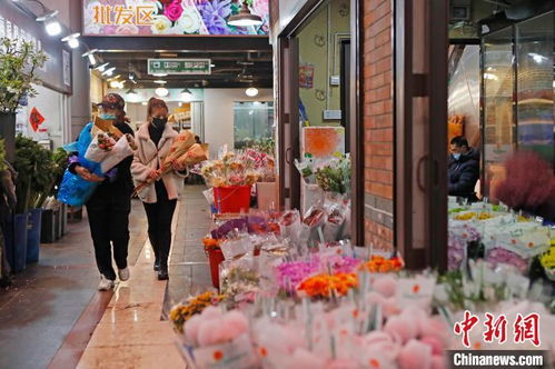 上海鲜花批发市场在哪里 上海鲜花批发市场在哪里--第1张