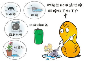 九节传播种子的方式 九节传播种子的方式--第1张