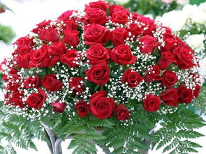 15朵玫瑰花语是什么意思 ，15朵玫瑰花语，爱的圆满，爱的永恒，爱的承诺--第1张