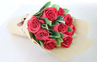 9朵红色玫瑰花代表什么意思 9朵红色玫瑰花代表什么意思--第1张