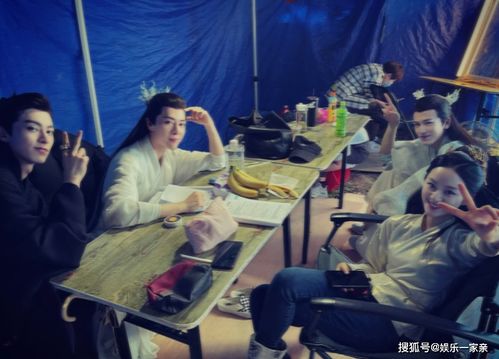 鲜花的进价和卖价 鲜花市场的奥秘，进价与卖价的双重挑战--第1张