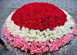 玫瑰花束图片 玫瑰花束图片，浪漫与情感的完美结合--第1张