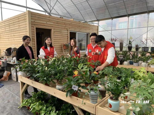 中国花卉报社社长 中国花卉报社社长，引领花卉产业发展的新篇章--第1张