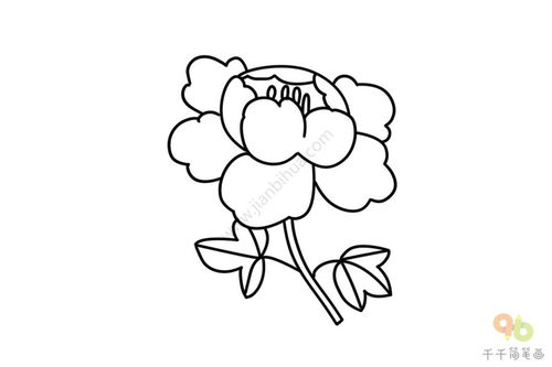 牡丹花简笔画简单又好看 牡丹花简笔画简单又好看--第1张