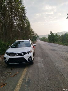 gs3的通病是什么_gs3缺点--第1张