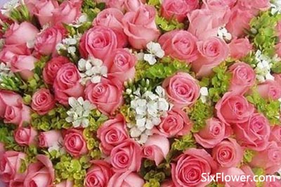 16朵玫瑰花代表什么意思 16朵玫瑰花代表什么意思--第1张
