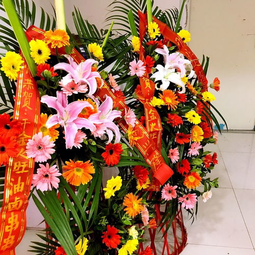 北京花卉送货上门 北京花卉送货上门服务--第1张