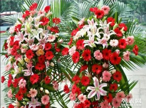花店一般有什么花 花店一般有什么花--第1张