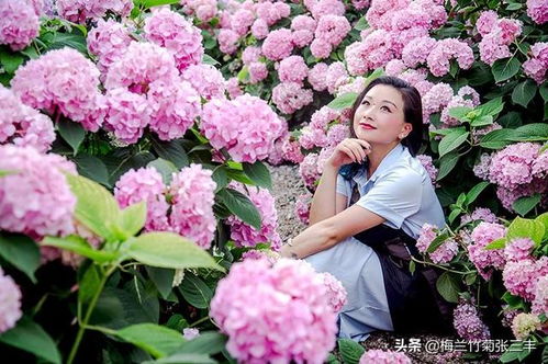 什么花在夏天开放 什么花在夏天开放--第1张
