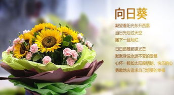 父亲节适合送的花 父亲节适合送的花--第1张