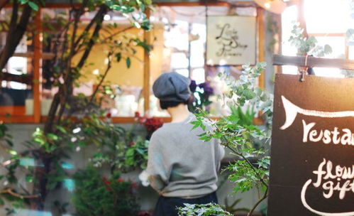 花店怎么开 花店怎么开，成功经营花店的秘诀--第1张