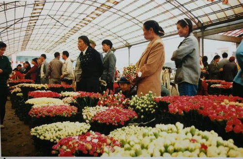 北京鲜花批发 北京鲜花批发市场，探寻鲜花的魅力与价值--第1张