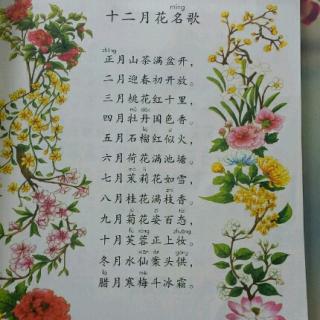 一月至十二月花名歌 一月至十二月花名歌--第1张