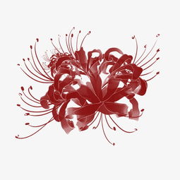 彼岸花图片大全高清图片 彼岸花图片大全高清图片--第1张