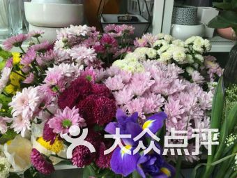 宁波鲜花批发哪里便宜 宁波鲜花批发哪里便宜--第1张