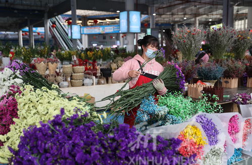 昆明批发鲜花市场进货渠道 昆明批发鲜花市场进货渠道详解--第1张