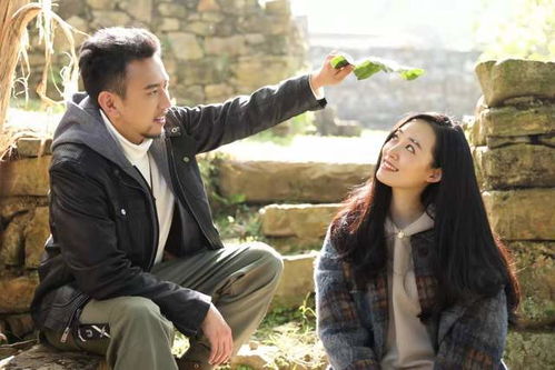 热播短剧错爱半生全集完整版在线观看 热播短剧错爱半生全集完整版在线观看--第1张