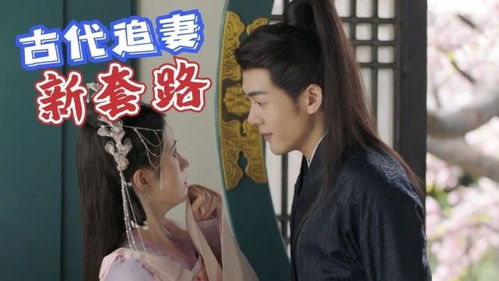 热播短剧追妻全集完整版在线观看 热播短剧追妻全集完整版在线观看--第1张