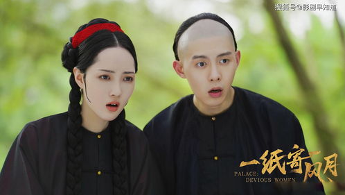 热播短剧她的反击全集完整版在线观看 热播短剧她的反击全集完整版在线观看--第1张