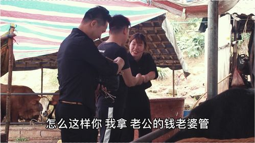 热播短剧总裁夫人是大佬郭静全集完整版在线观看 热播短剧总裁夫人是大佬郭静全集完整版在线观看--第1张