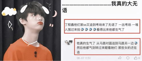 热播短剧前妻太招摇程总别撩了全集完整版在线观看 热播短剧前妻太招摇程总别撩了全集完整版在线观看--第1张