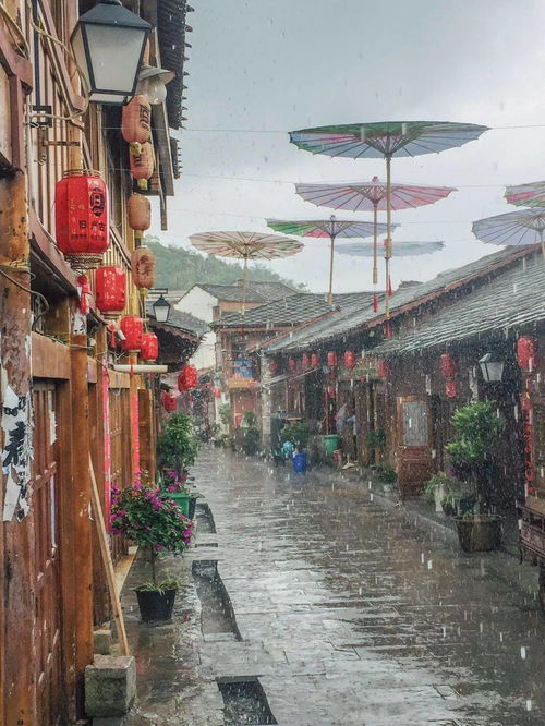 热播短剧荒岛全集完整版在线观看 荒岛全集完整版在线观看，一部热播短剧的魅力之旅--第1张