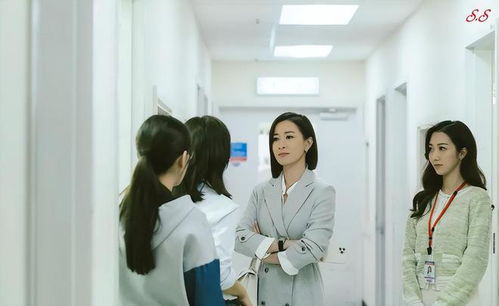 热播短剧女总裁的代驾小司机全集完整版在线观看 热播短剧女总裁的代驾小司机全集完整版在线观看--第1张