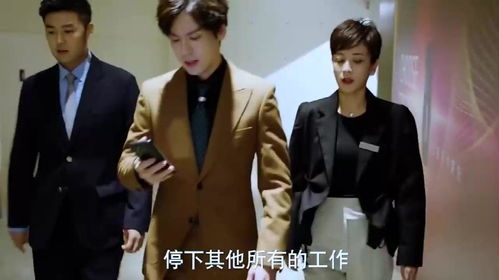 热播短剧霸道总裁的神医老婆长篇全集完整版在线观看 霸道总裁的神医老婆热播短剧长篇全集完整版在线观看--第1张