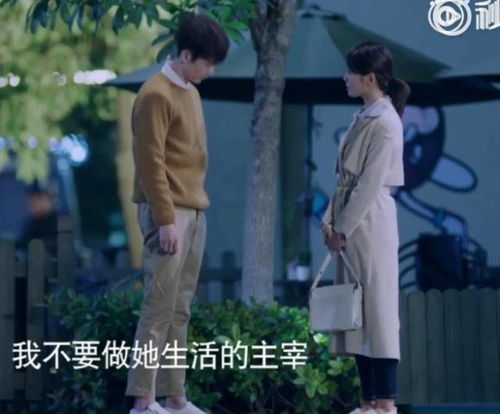 热播短剧职场风云我被美女包围了全集完整版在线观看 热播短剧职场风云被我美女包围了全集完整版在线观看--第1张