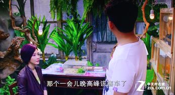 热播短剧穿越诡计爱上你全集完整版在线观看 穿越诡计爱上你全集完整版在线观看--第1张