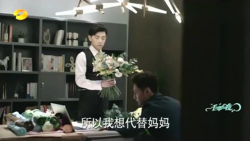 热播短剧夫人带球跑总裁夜夜哭全集完整版在线观看 热播短剧夫人带球跑，总裁夜夜哭全集完整版在线观看--第1张